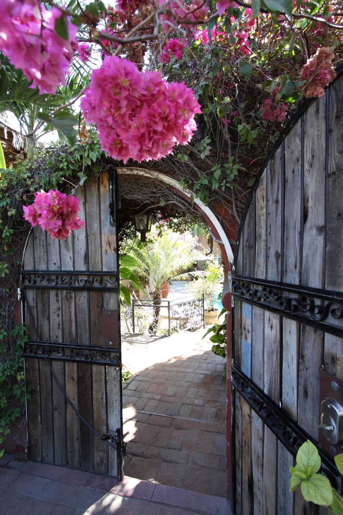 The Bungalows Hotel Cabo San Lucas Exterior foto